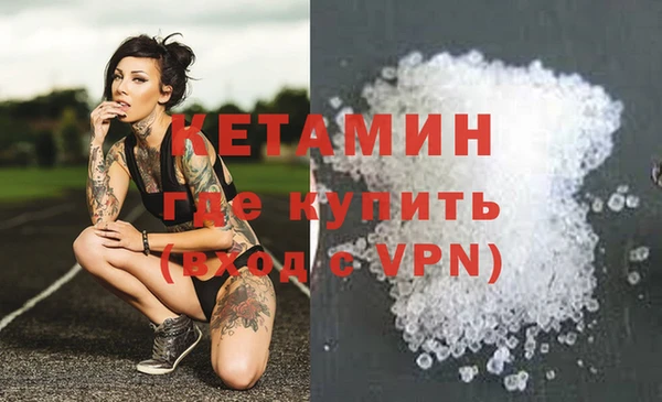спиды Богданович