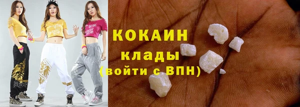 спиды Богданович
